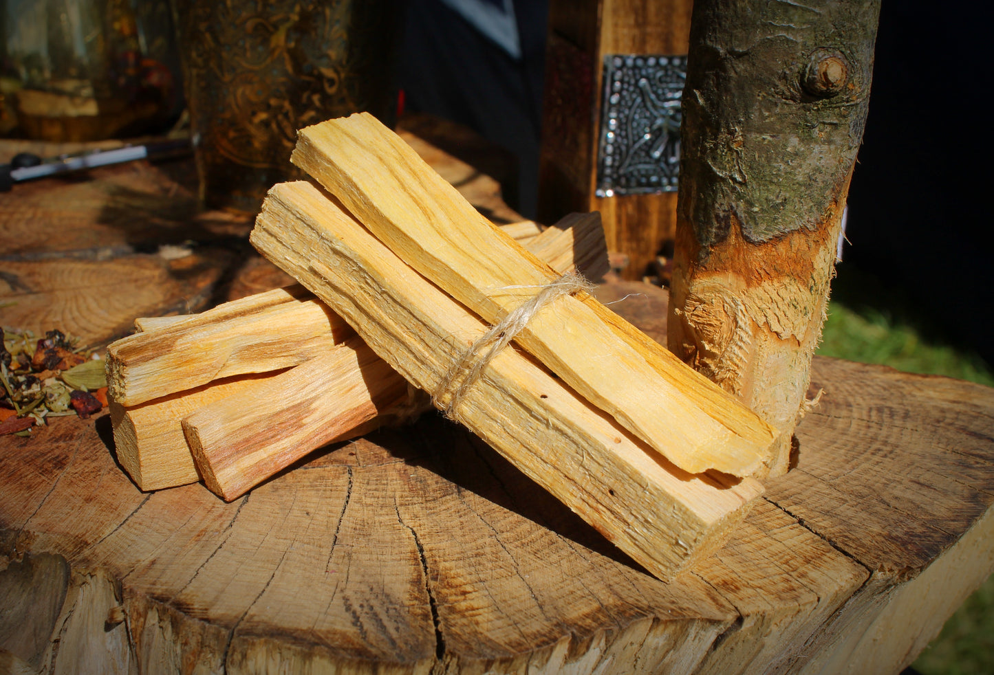 Palo Santo 'Holy Wood' Bundle