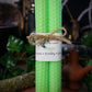 Freyja - Mint Beeswax Spell Candles