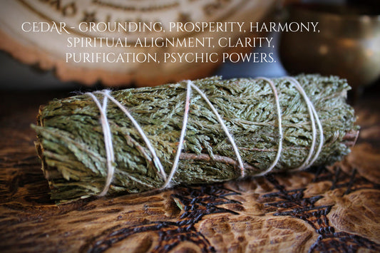 Cedar Smudge Stick: 4" Hand-Harvested Cleansing and Healing Bundle