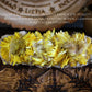 Sunflower & White Sage Smudge Stick - Joyful Energy Cleansing and Blessing Bundle
