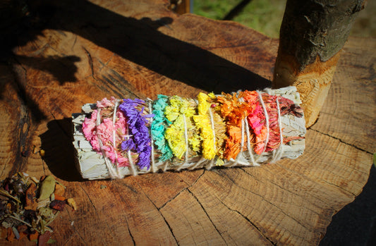 7 Chakra Sinuata Flower & White Sage Smudge