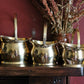 Brass Mini Coal Scuttles: Individual Bucket or Set of 3