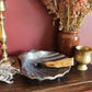 Silver Shell Offering Bowl