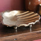 Champagne Gold Shell Offering Bowl