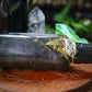 Hecate Sacred Ritual Oil